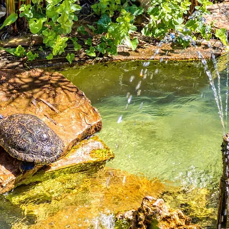 アパート Location Fontaine De Sarac Clermont-lʼHérault